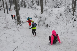 Kasinka Mała Wydarzenie Bieg Winter - Trail Małopolska 2019
